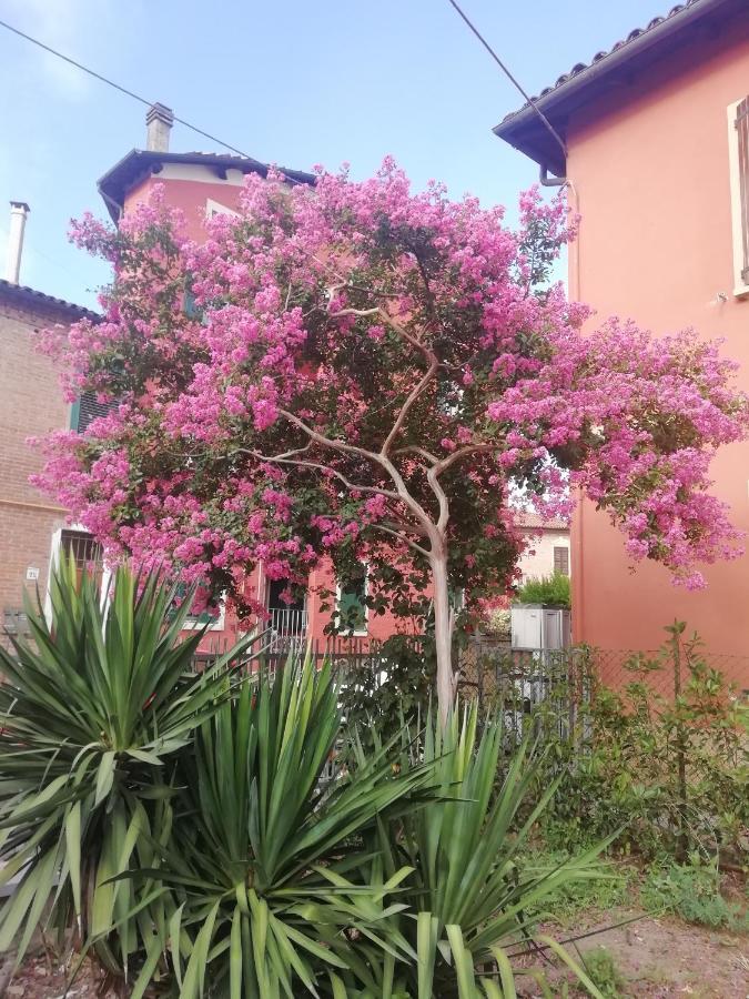 Grigio Perla Panigale, Villetta Con Giardino E Parcheggio Privato Fino A Tre Posti Auto - Un Oasi Di Tranqullita Bologna Exterior foto